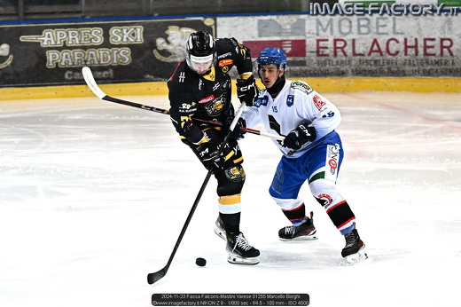 2024-11-23 Fassa Falcons-Mastini Varese 01255 Marcello Borghi